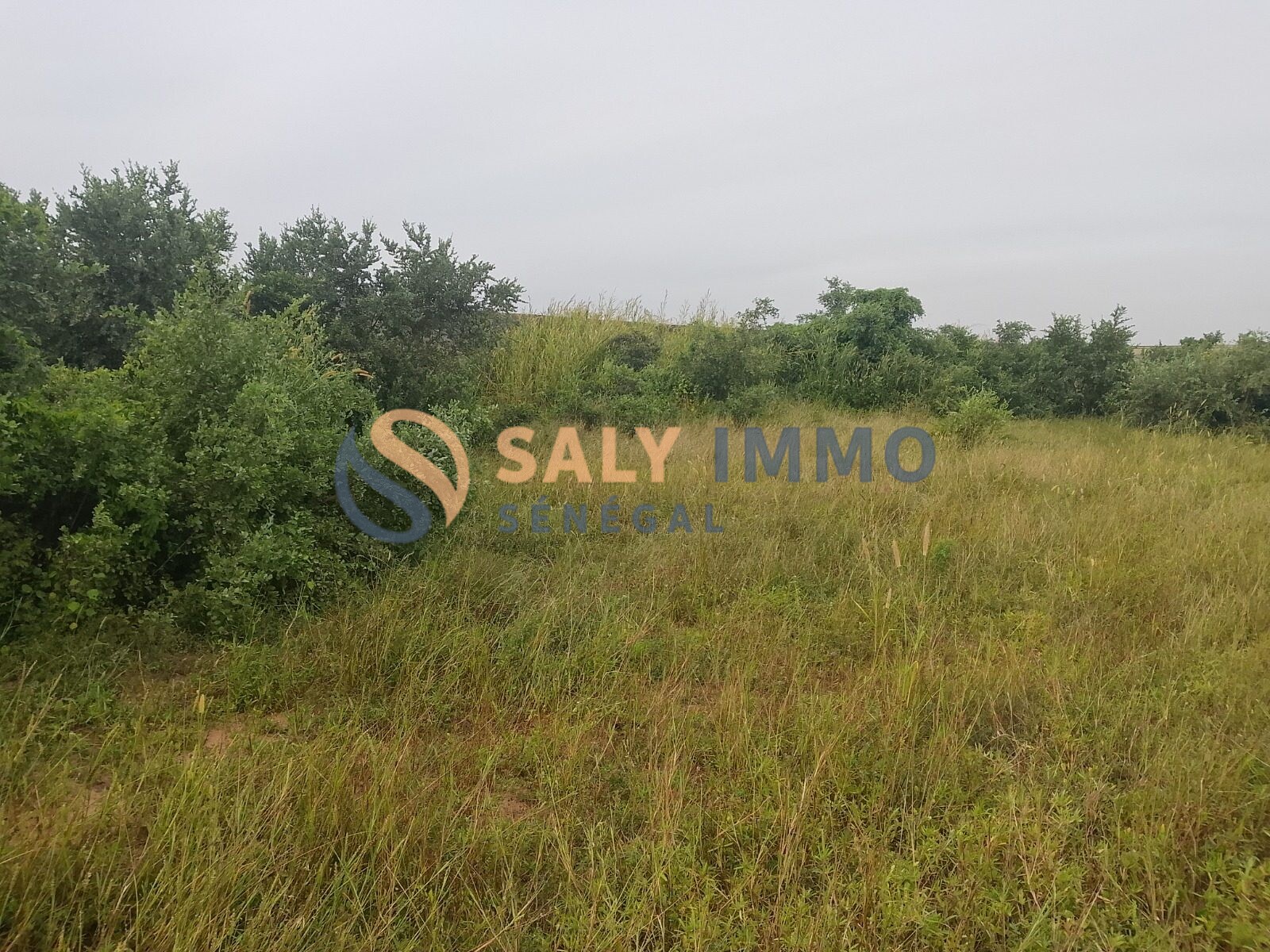 Terrain de 460 m² - Nguékhokh — réf. TGK682