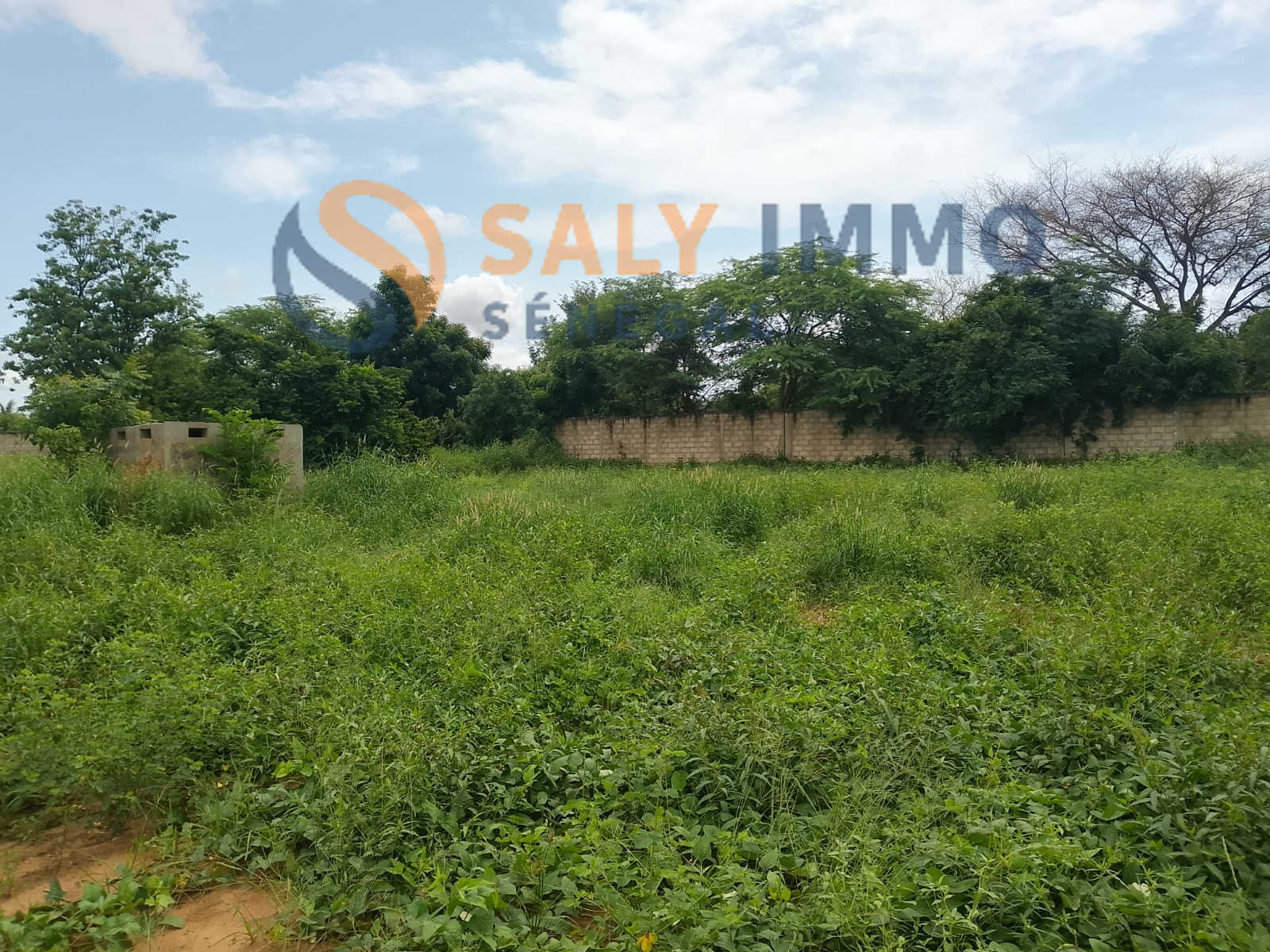 Terrain À vendre à Nguérigne — réf. TGU668