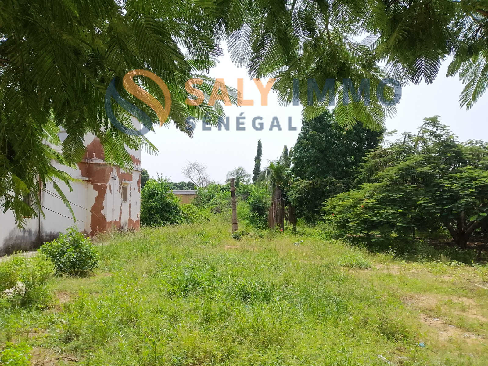 Terrain À vendre à Nguérigne — réf. TGU673 — photo 2