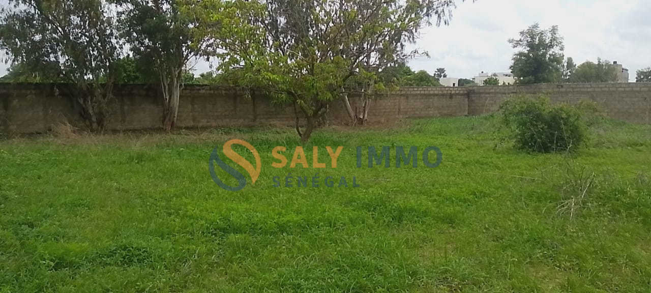 Terrain À vendre à Ngaparou — réf. TNG637 — photo 3