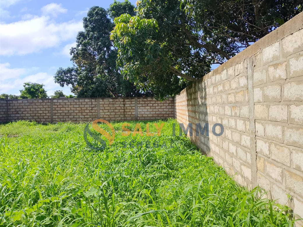 Terrain À vendre à Ngaparou — réf. TNG641 — photo 3