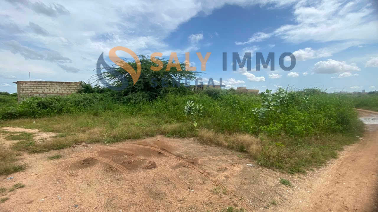 Terrain À vendre à Saly — réf. TSA669 — photo 2