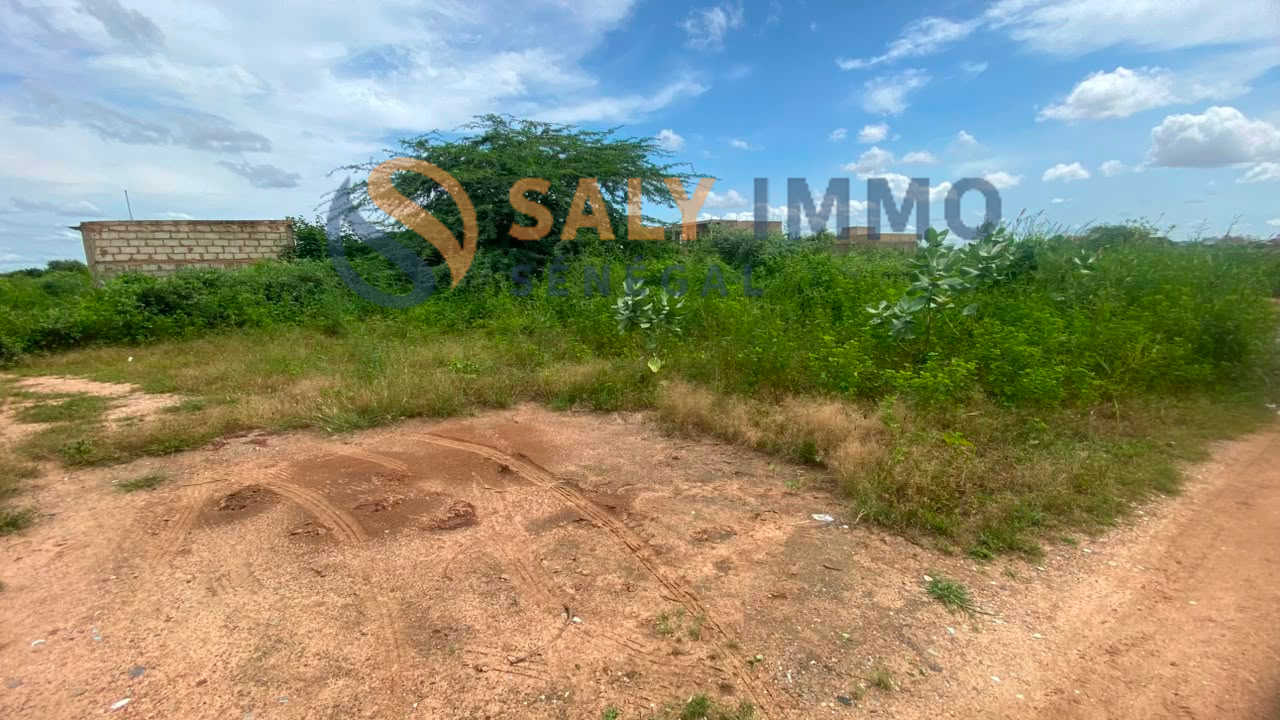 Terrain À vendre à Saly — réf. TSA669 — photo 3