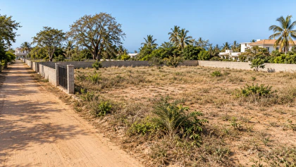 Parcelle arborée et bornée à Nguérigne au Sénégal